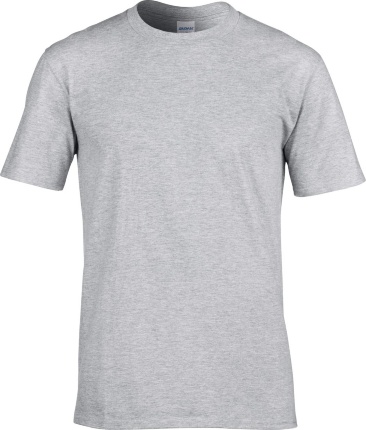 Футболка мужская Gildan Premium Cotton